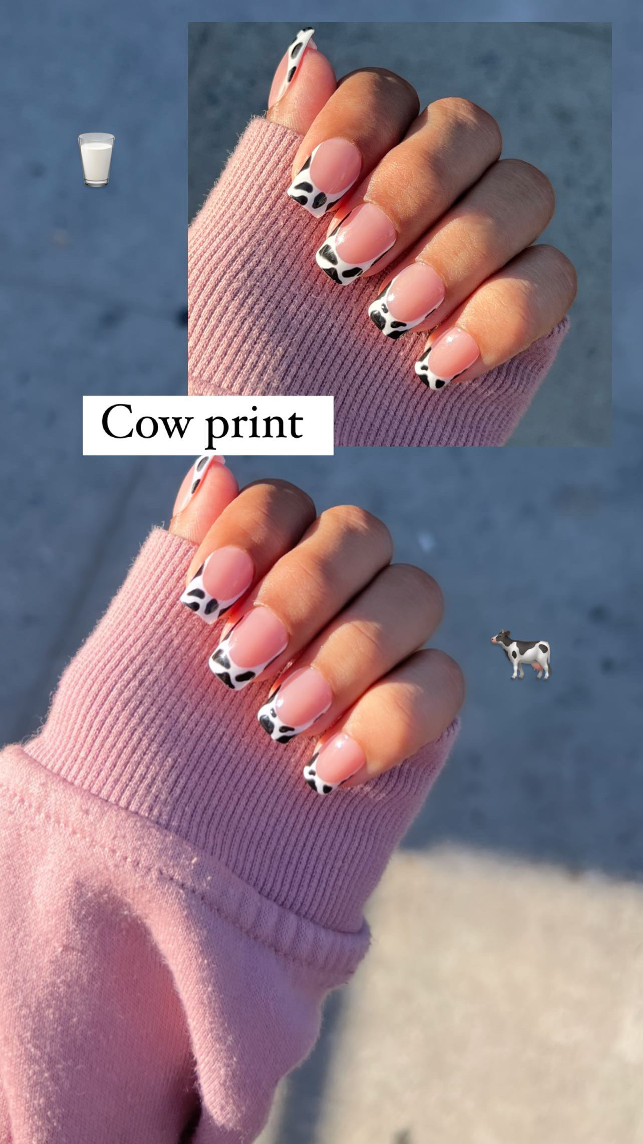 Cow Print French